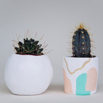 Caches pots en argile autodurcissante et cactus
